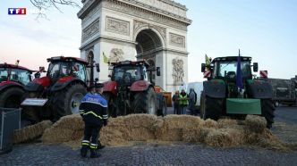 Agriculture : de nouvelles mesures annoncées, en espérant sortir (enfin) de la crise | TF1 INFO