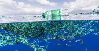 Les Galápagos s'attaquent à la pollution plastique