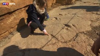 VIDÉO - "C'est impressionnant" : à la découverte de vraies empreintes de dinosaures dans l'Aveyron | TF1 INFO
