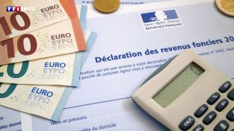 De plus en plus de Français soumis à l'impôt sur la fortune immobilière | TF1 INFO