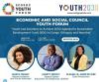 Forum économique et social de la jeunesse de l'ONU : Averty Ndzoyi appelle à l'autonomisation des peuples autochtones