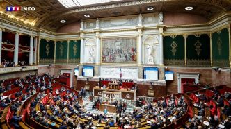 Projet de loi sur la fin de vie : vers un "vote solennel" à l'Assemblée nationale le 11 juin | TF1 INFO