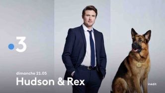 « Hudson & Rex » du 28 avril 2024 : les épisodes ce soir sur France 3 (saison 5)