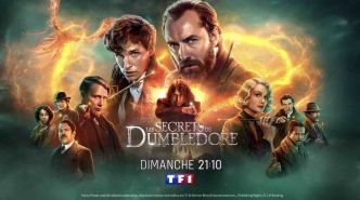 « Les animaux fantastiques : Les secrets de Dumbledore »  : le film ce soir sur TF1 (28 avril 2024)