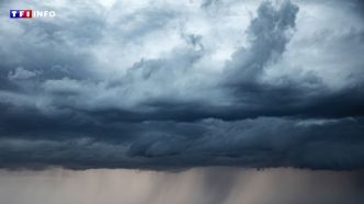 Pyrénées-Orientales : la pluie arrive enfin, après des mois de sécheresse | TF1 INFO