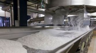 En 2023, le Gabon a importé 7 056 tonnes de sucre pour couvrir le déficit sur son marché