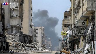 VIDÉO - Gaza : "Il faudrait 14 ans" pour déblayer les 37 millions de tonnes de débris provoqués par la guerre, selon l'ONU | TF1 INFO
