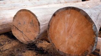 Centrafrique : le ministère des Eaux et Forêts suspend des permis artisanaux de coupe de bois non loin de Bangui (Autre presse)
