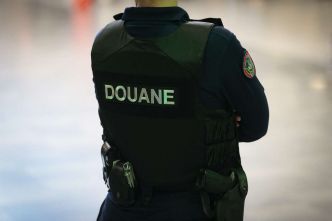 En Guyane, saisie record de 1,8 tonne de cocaïne au port de commerce de Dégrad des Cannes
