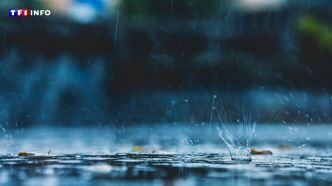 "Depuis le temps qu'on attendait" : après deux ans de sécheresse historique, enfin de la pluie dans les Pyrénées-Orientales  | TF1 INFO