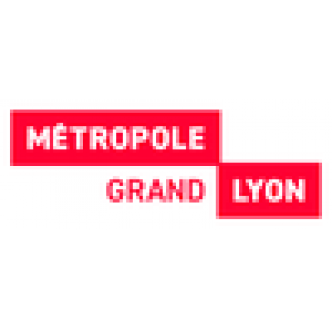 Vignette Crit'Air maximale autorisée dans la ZFE en temps réel de la Métropole de Lyon