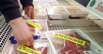 Agriculture : est-ce la faute de l'Europe si on mange de la viande canadienne ?