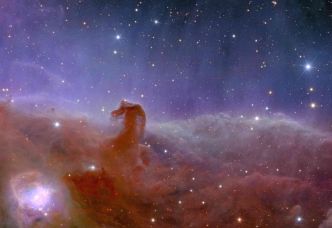 Le télescope James-Webb révèle des détails sans précédent de l'obscure nébuleuse de la Tête de Cheval