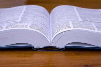 ‘Trottinettiste’, ‘cyberattaque’, ’empouvoirement’, voici quelques-uns des nouveaux mots du dictionnaire le Petit Larousse