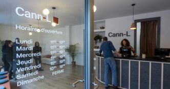 Un premier bilan "très encourageant" pour la vente régulée de cannabis à Lausanne