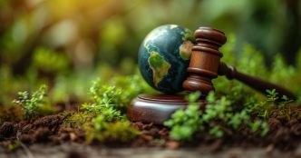 Une directive européenne vient renforcer le droit pénal de l'environnement