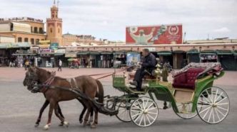 Les arrivées touristiques au Maroc connaissent un bond au 1er trimestre 2024