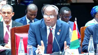 Sommet de Nairobi : la Guinée en quête de financements des projets de développement