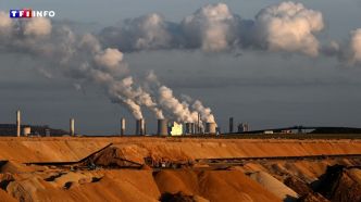 Charbon : le G7 acte la fermeture des centrales non équipées de captage de carbone d'ici 2035 | TF1 INFO