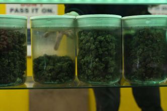 Le gouvernement américain sur le point de classer le cannabis comme une drogue moins dangereuse