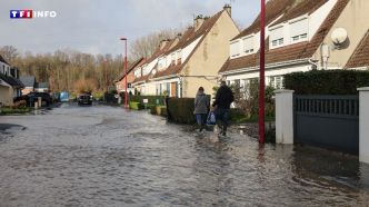 VIDÉO - Pas-de-Calais : après les inondations, une rue entière va être rasée à Arques | TF1 INFO