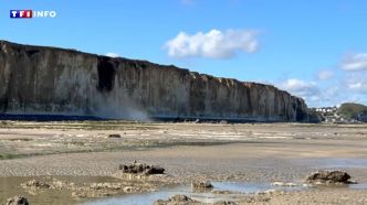 VIDÉO - Normandie : le spectaculaire effondrement d'une falaise filmé par un touriste | TF1 INFO