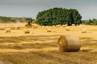 Orientation et souveraineté agricole : Marc Fesneau appelle à un "débat exigeant, constructif, au service de l'agriculture" à l'Assemblée nationale
