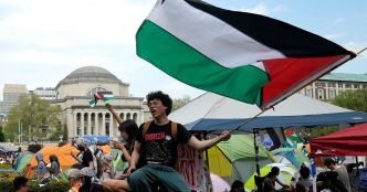 Columbia, Harvard, UCLA... Comment la question palestinienne a envahi les campus américains