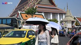 L'Asie suffoque : 3 questions sur la vague de chaleur "la plus extrême dans l'histoire du climat" | TF1 INFO