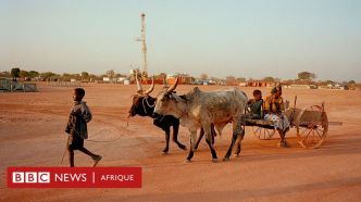 Le pétrole tchadien, une manne mal exploitée ?
