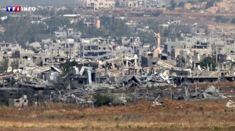 EN DIRECT - Guerre à Gaza : des "progrès" dans l'acheminement de l'aide humanitaire, toujours pas de trêve | TF1 INFO