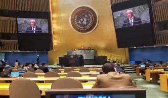 Adhésion de la Palestine à l’ONU: La Tunisie regrette l’échec du projet de résolution porté par l’Algérie