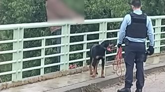 Blocage de l'A9 : l'homme qui menaçait de se jeter du pont est revenu à la raison grâce à sa chienne Tina