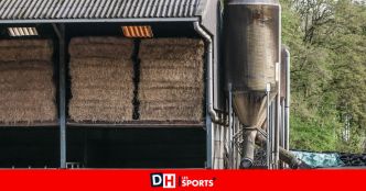 Pollution aux PFAS : la production de viande d'une ferme de Stabroek restreinte après la découverte de PFAS