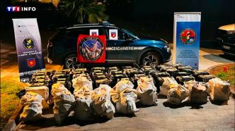 Saisie de cocaïne à 35 millions d'euros : "Les Antilles sont au plus près des pays producteurs" | TF1 INFO