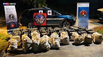 3,6 tonnes de cocaïne saisies en cinq jours dans l'arc Antilles-Guyane | TF1 INFO