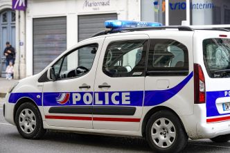 Seine-Saint-Denis : une femme gravement blessée par deux chiens lors d'une scène d'horreur