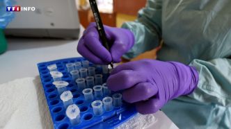 Fièvre de Lassa : un militaire hospitalisé en Ile-de-France après avoir contracté le virus | TF1 INFO