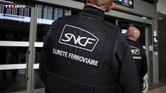 Paris : agressés au hachoir, des agents de la Sûreté ferroviaire ouvrent le feu | TF1 INFO