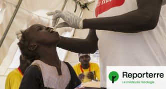 « Inondations et sécheresses favorisent la diffusion du choléra »