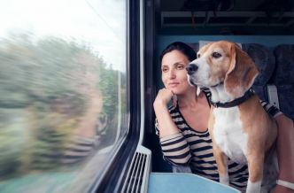 Partir en voyage avec son chien : quelles astuces pour un voyage tranquille ?