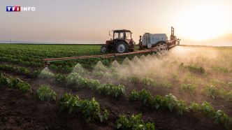 Pesticides : un fonds pour indemniser les riverains, mais lesquels ?  | TF1 INFO