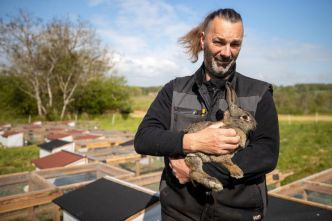 Esse : un ancien informaticien et routier créé un élevage de lapins
