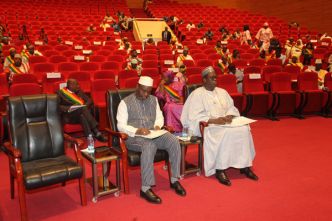 #Mali : Mali-Guinée : Le CNT adopte quatre textes de coopération et d'entraide judiciaire