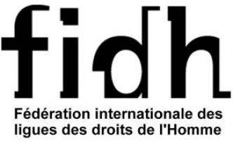 Instrumentalisation de la justice, La FIDH met en garde