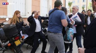 Jets d'œufs, altercation physique... Tensions lors du déplacement d'Eric Zemmour en Corse | TF1 INFO