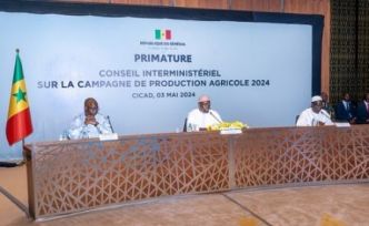 Le gouvernement sénégalais augmente la subvention aux intrants agricoles à 197 millions $ en 2024/2025