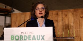 Européennes : l'écologiste Marie Toussaint dénonce «flou» et «brutalité» à gauche
