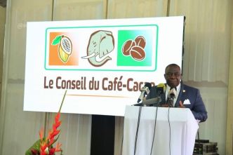 Côte d'Ivoire, la filière cacao face à "la gestion opaque” du Conseil café-cacao