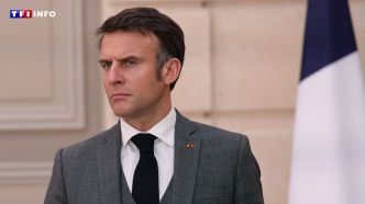 Européennes : pour Emmanuel Macron, "le RN, c'est le symptôme des peurs et des colères" | TF1 INFO